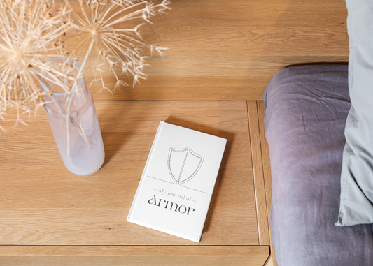 My Journal of Armor