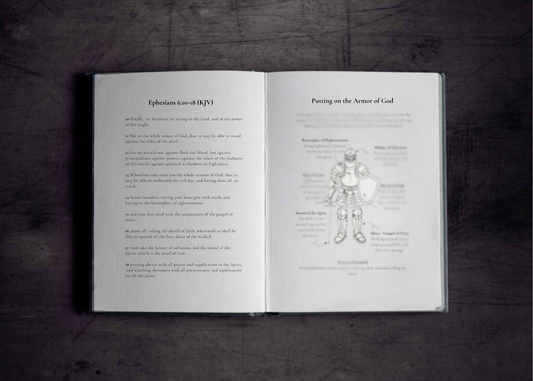 My Journal of Armor